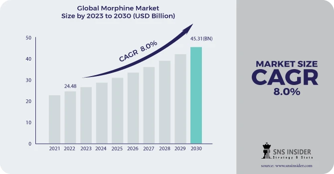 Morphine Market Revenue Analysis