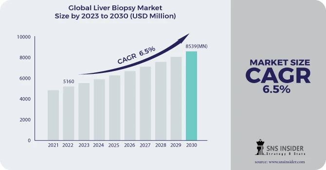 Liver Biopsy Market Revenue Analysis