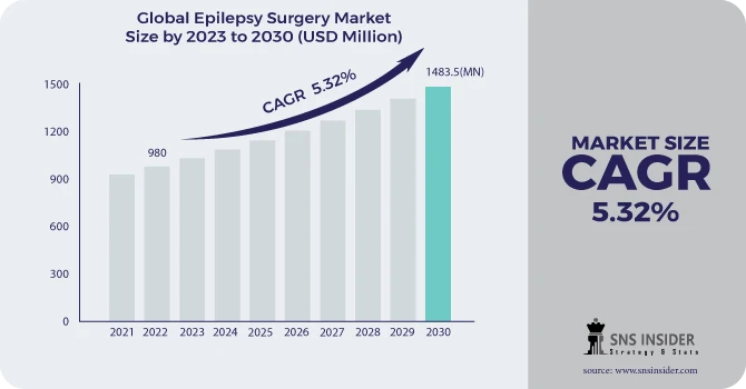 Epilepsy Surgery Market Revenue Analysis