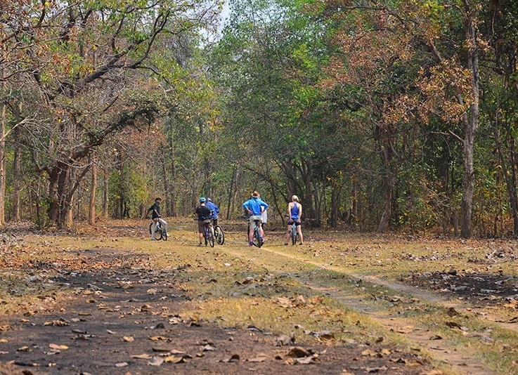 5 Exciting Things To Do In The Pench Jungle Other Than Wildlife Viewing
