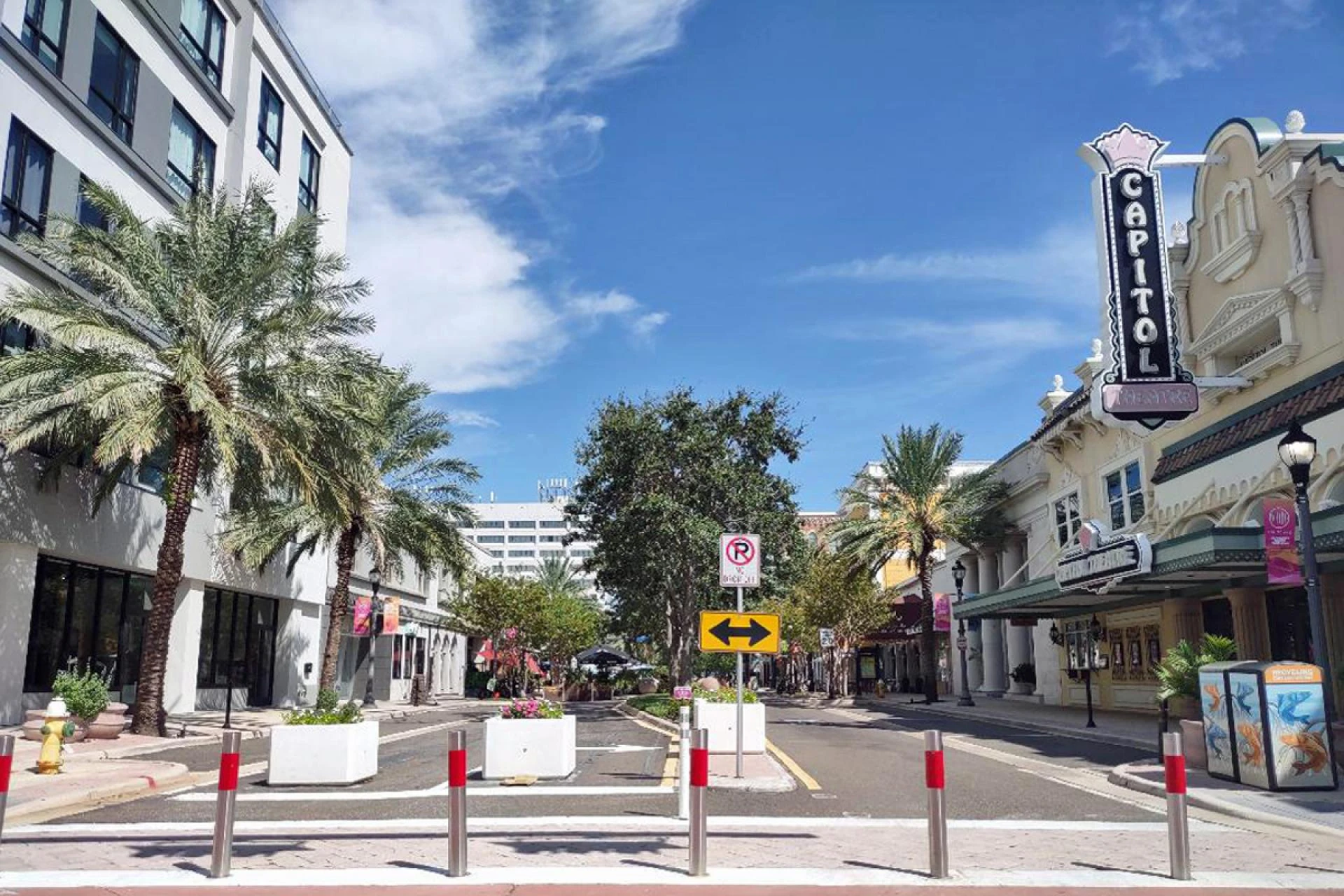 Explore the Thrills: Water Sports and Parks in Clearwater, Florida