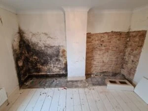 mould infection on the wall