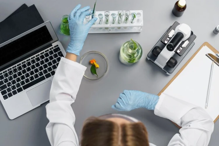 Conquer Your Dissertation with Expert Biotech Dissertation Writing Services in Vienna, Austria