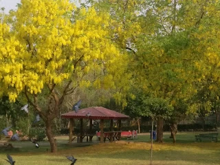 A Small & Beautiful Park in S Block, GK2, Dehradun