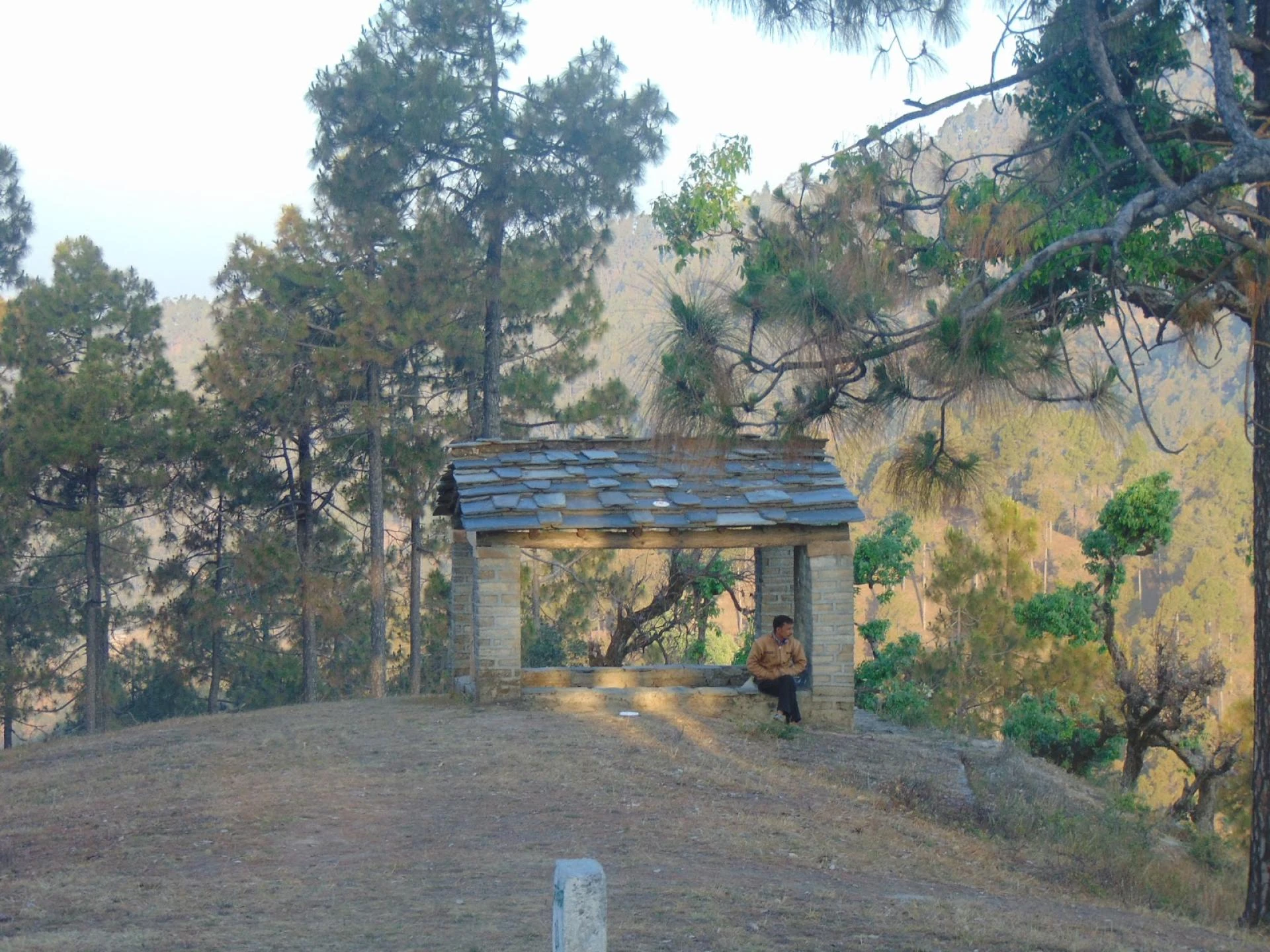 Maa Anandmayee Guest House, Eco Binsar, Dhaulachinna - A few sights