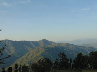 Maa Anandmayee Guest House, Eco Binsar, Dhaulachinna - A few sights