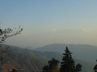 Maa Anandmayee Guest House, Eco Binsar, Dhaulachinna - A few sights