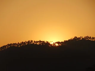 A Few Moments Of Sunset Near Binsar, Uttrakhand (Kumaon)