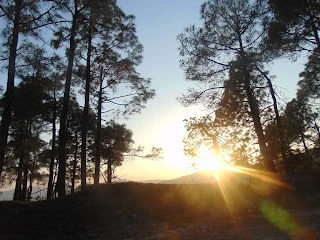 A Few Moments Of Sunset Near Binsar, Uttrakhand (Kumaon)