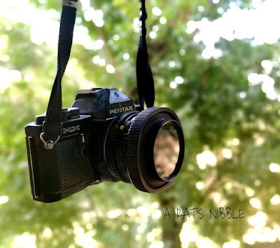 Dad, Me And The Camera