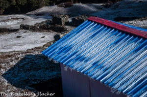 Snow covered Chopta in the March Morning