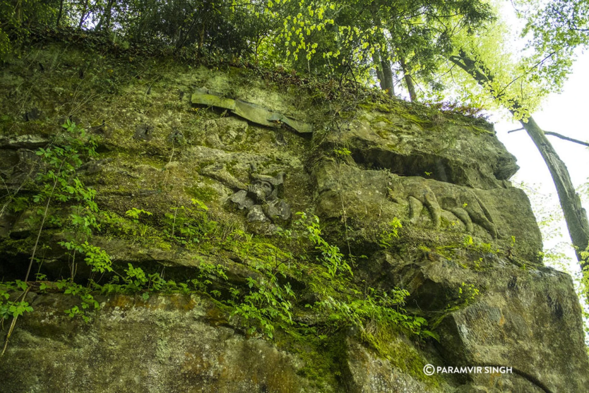 Safenwil Rock Carvings