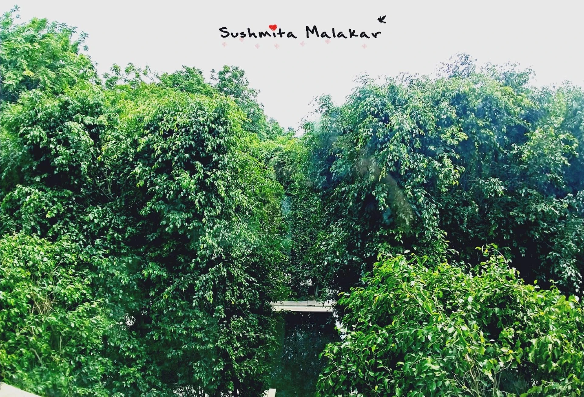 My Luxury Escapada : The Roseate, New Delhi