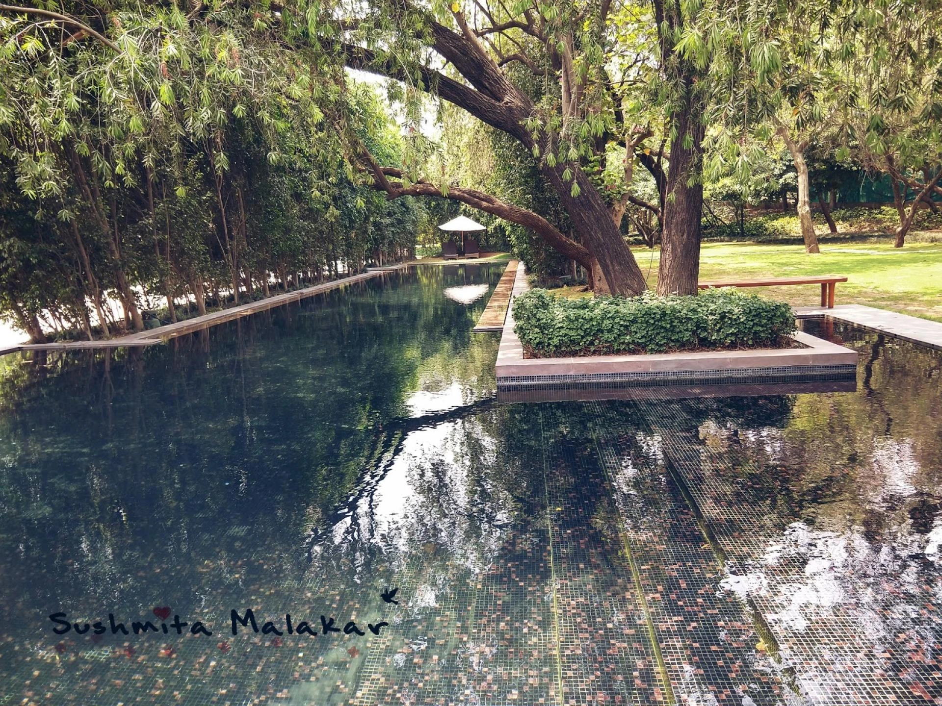 My Luxury Escapada : The Roseate, New Delhi