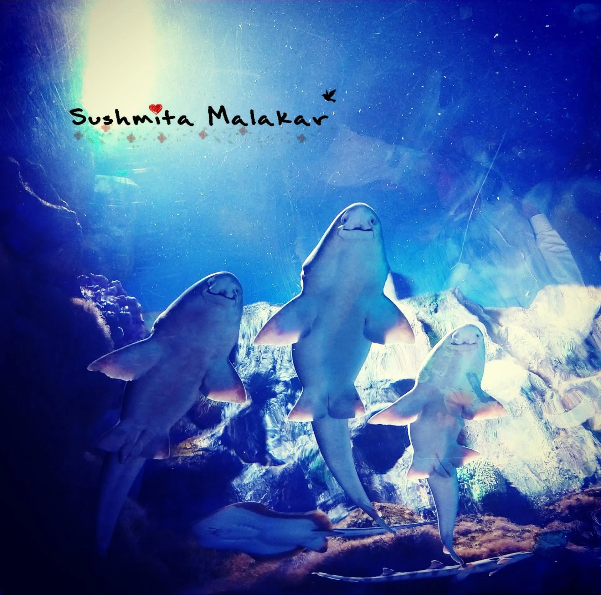 Dubai Is The Best Shopping Destination. Yes, it is!