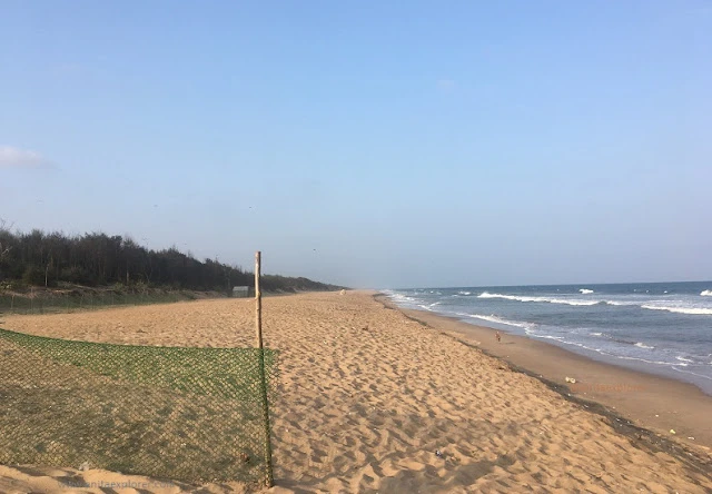 Bateshwar Temple And Sea Beach, Odisha