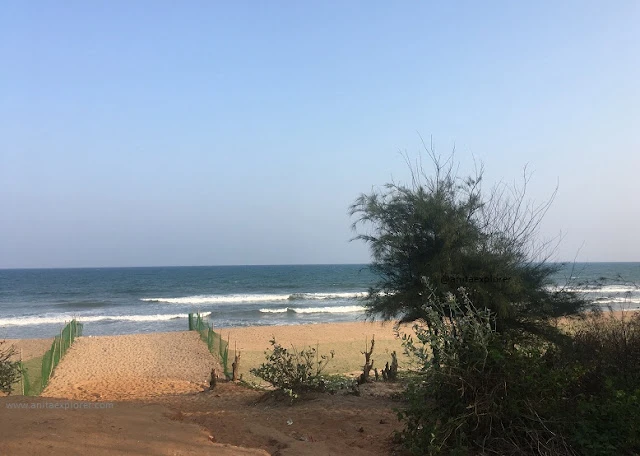 Bateshwar Temple And Sea Beach, Odisha
