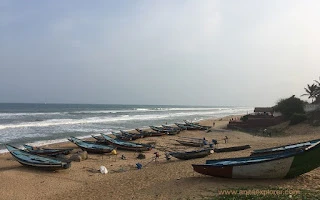 MAYFAIR Palm Beach Resort, Gopalpur-on-Sea