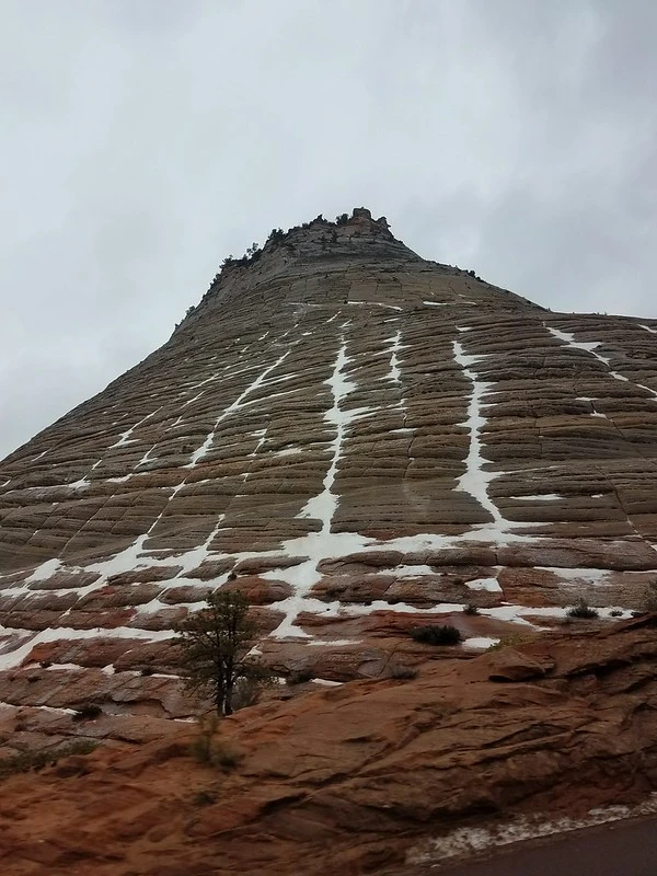 Checkerboard Mountain at Zion National Park