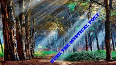 Carpe Diem #1400 The Awakening, a love poem by Rumi