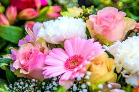 Present your friends and family with the allure of flowers, all across India