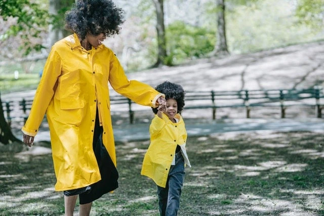 Photo by Barbara Olsen from Pexels