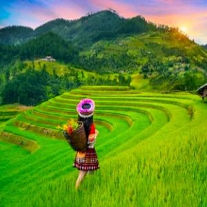 Book Vietnam Package Tour from Kolkata