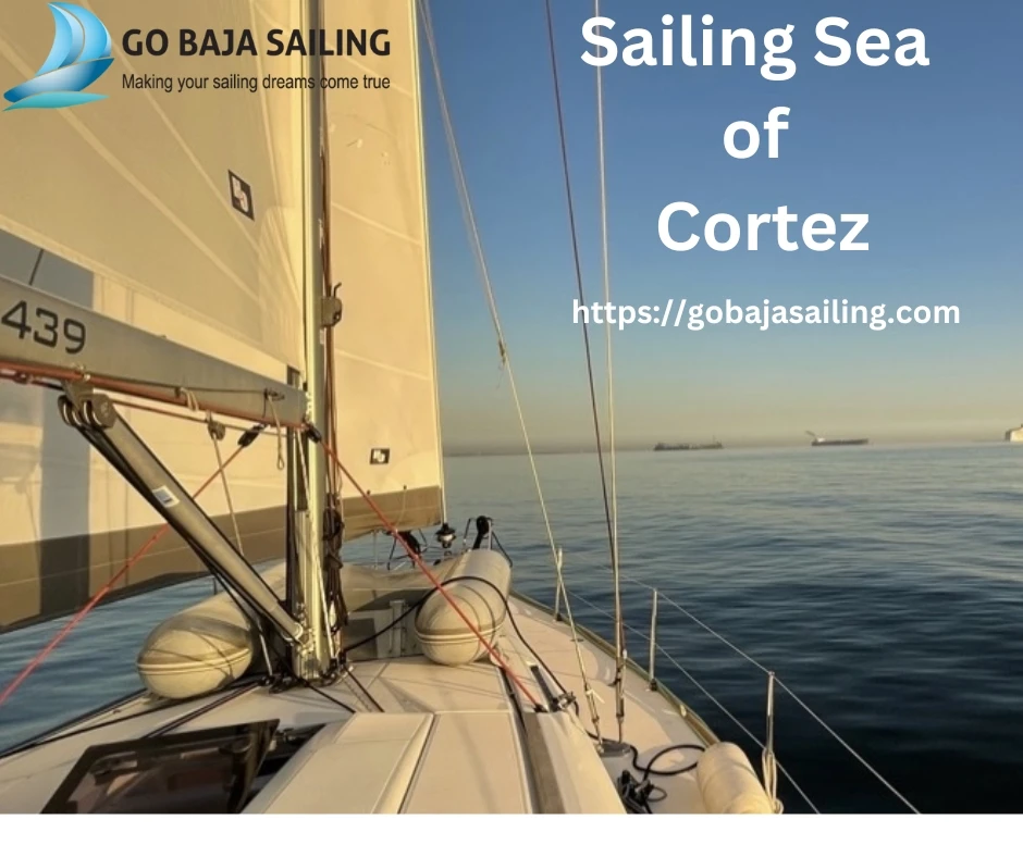 The Best Cheap Charter Boats for Budget Travelers