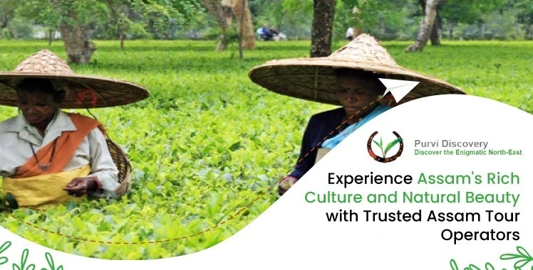 Experience the Charm of Assam with Purvi Discovery’s Assam Tour Packages