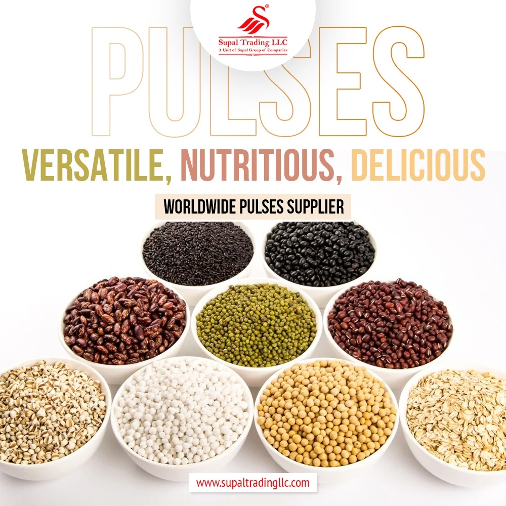 Overview of Pulses Export from India