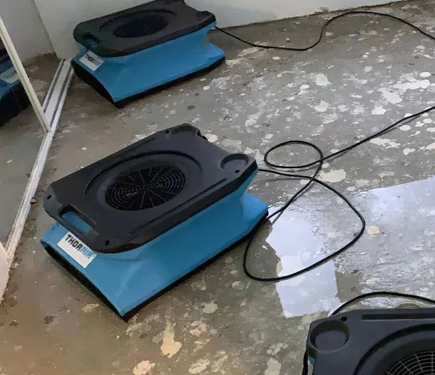 How to Choose the Best Water Damage Restorer in Brisbane?