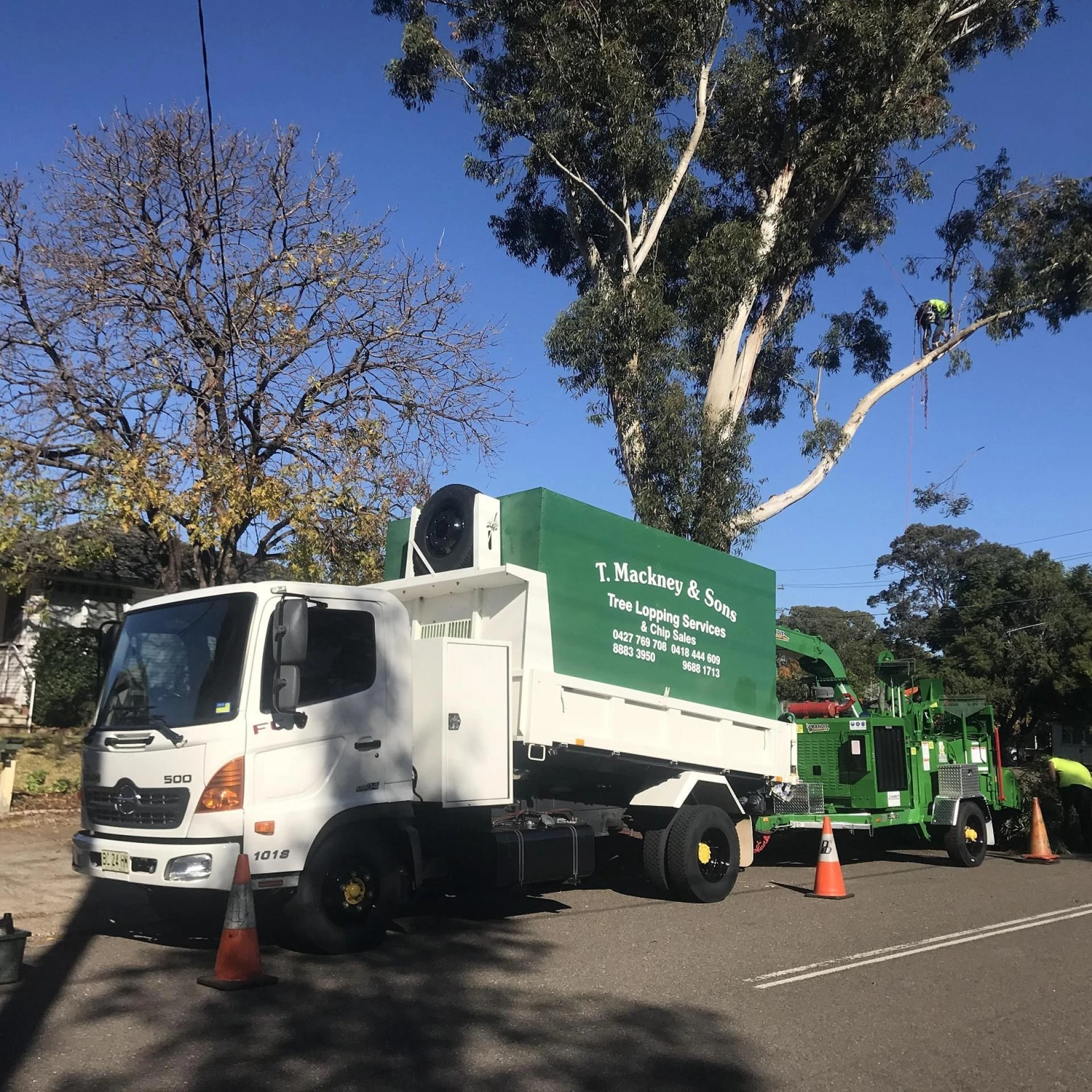 Stump Grinding Services: Say Goodbye to Unsightly Stumps with Our Expert Grinding Services
