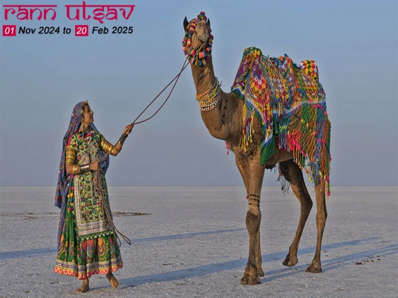 Top 10 Reasons to Attend Rann Utsav 2024-2025