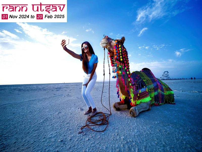 Top 10 Reasons to Attend Rann Utsav 2024-2025