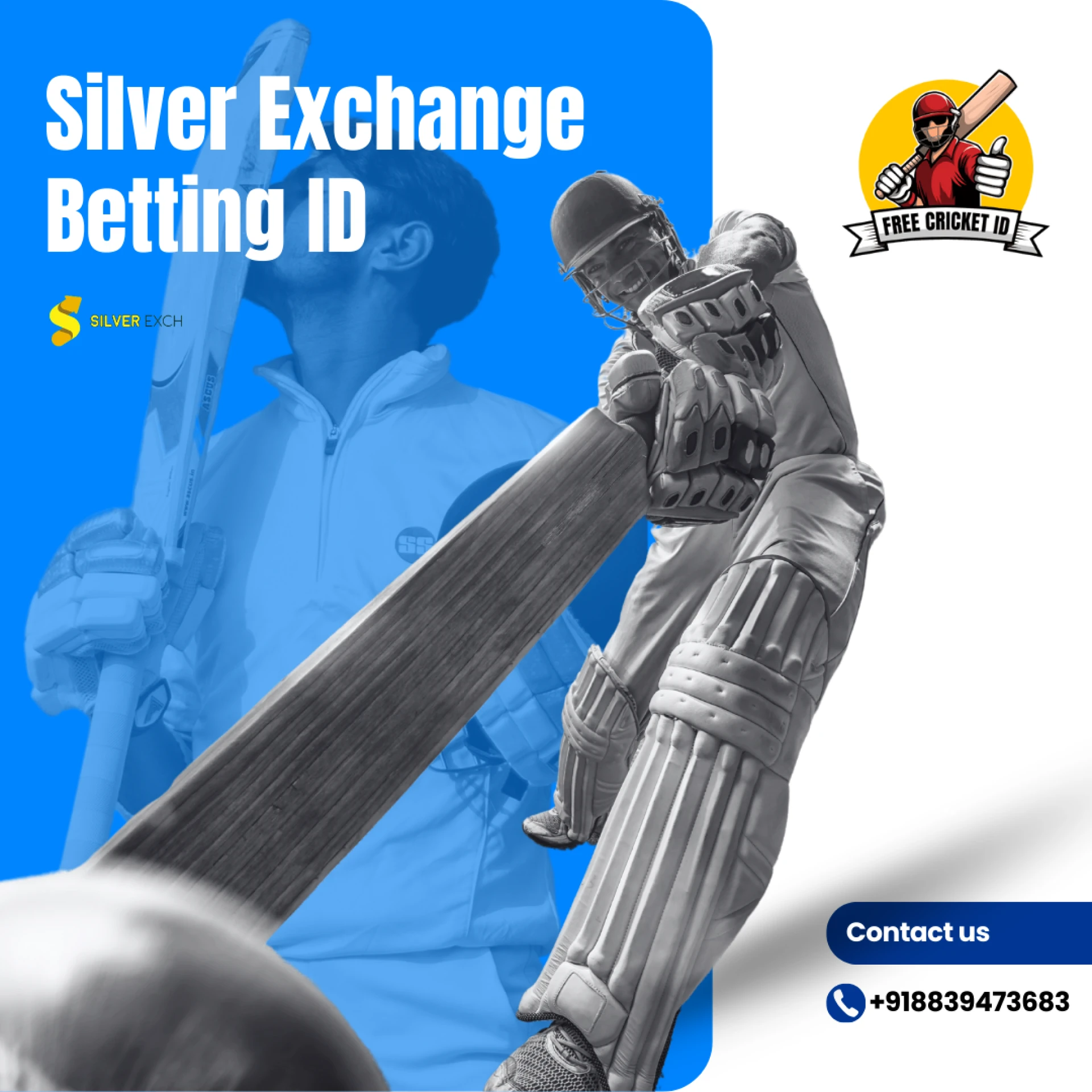 Silver Exchange Login ID: Your Gateway to Seamless Betting with Free Cricket ID