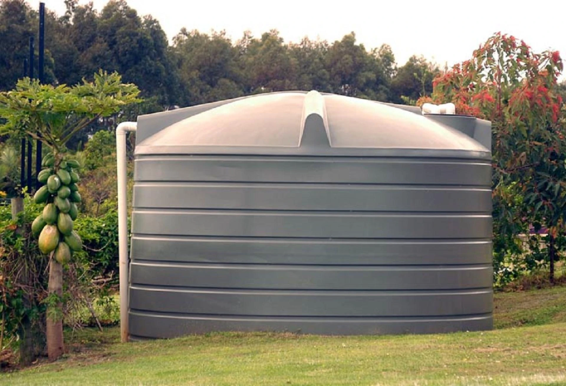 What Are the Top-Rated Water Tank Cleaning Services in Dehradun?