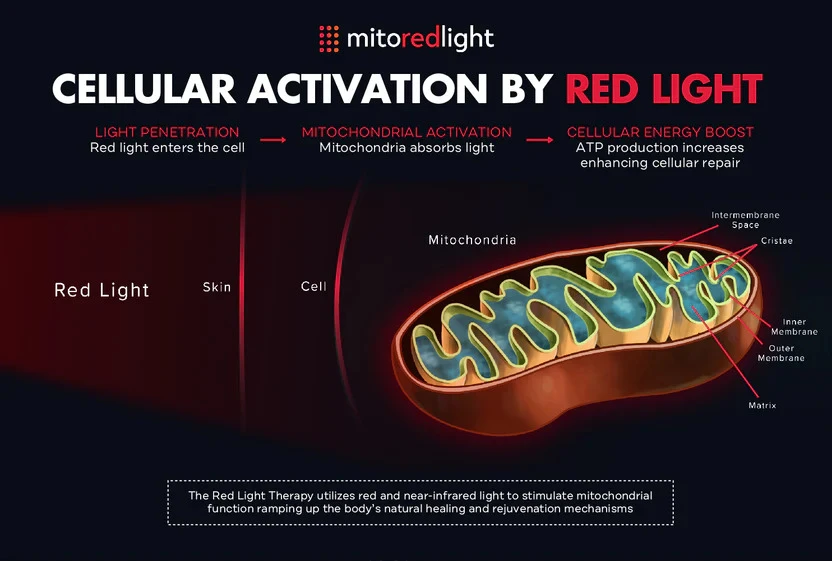 Combatting Mal-Illumination: How Does Red Light Therapy Work