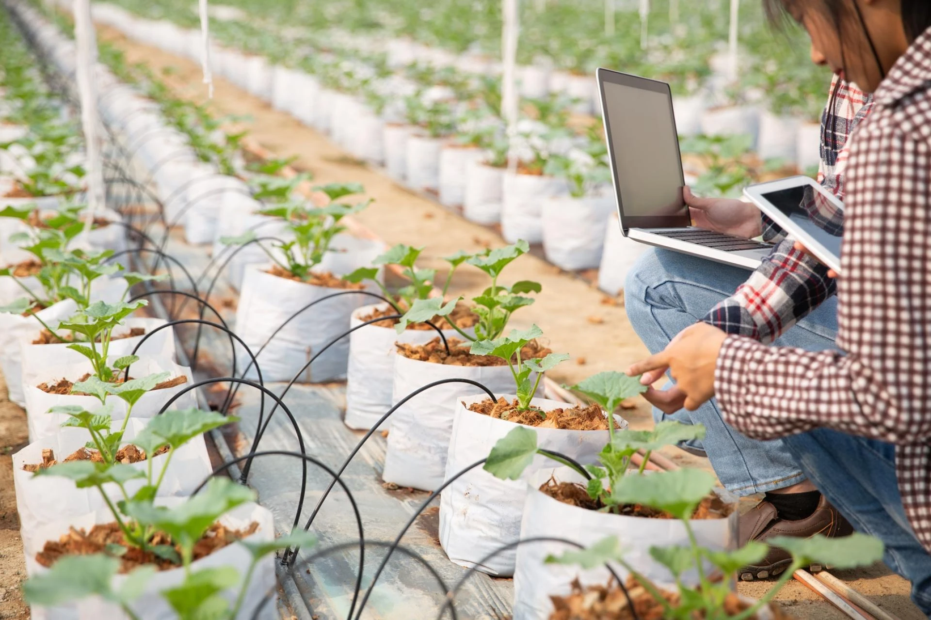 How Precision Agriculture Market is Enhancing Sustainability and Productivity in Farming