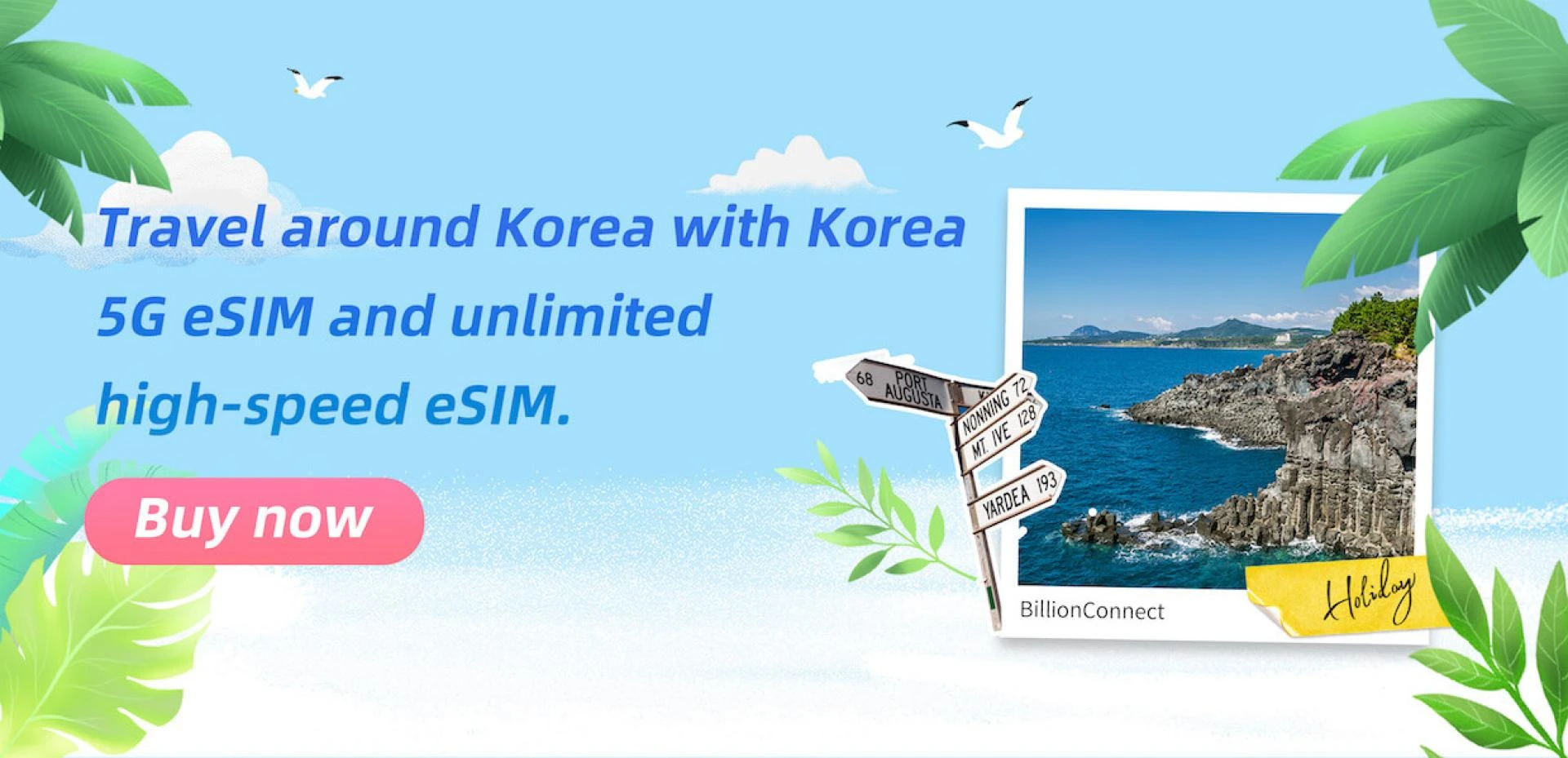 Understanding the eSIM Card: The Future of Mobile Connectivity