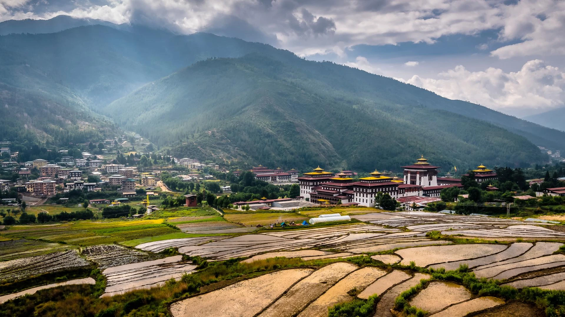 Bhutan Group Tour Packages: Travel in Comfort, Explore with Experts