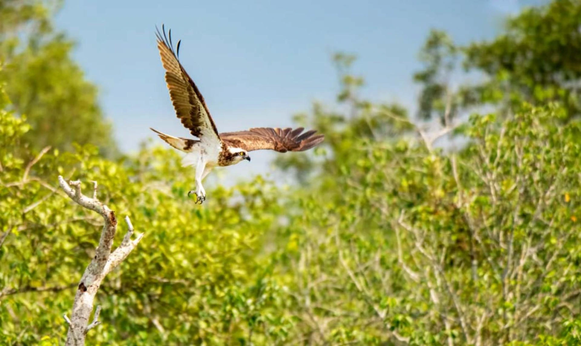 Amazing Sundarban Tour Package from Kolkata