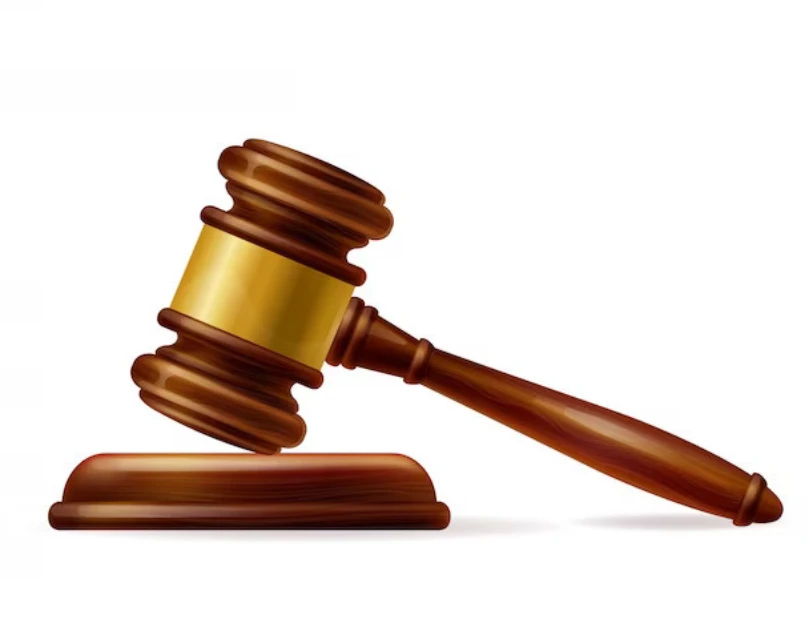 What is the burden of proof in a domestic violence case?