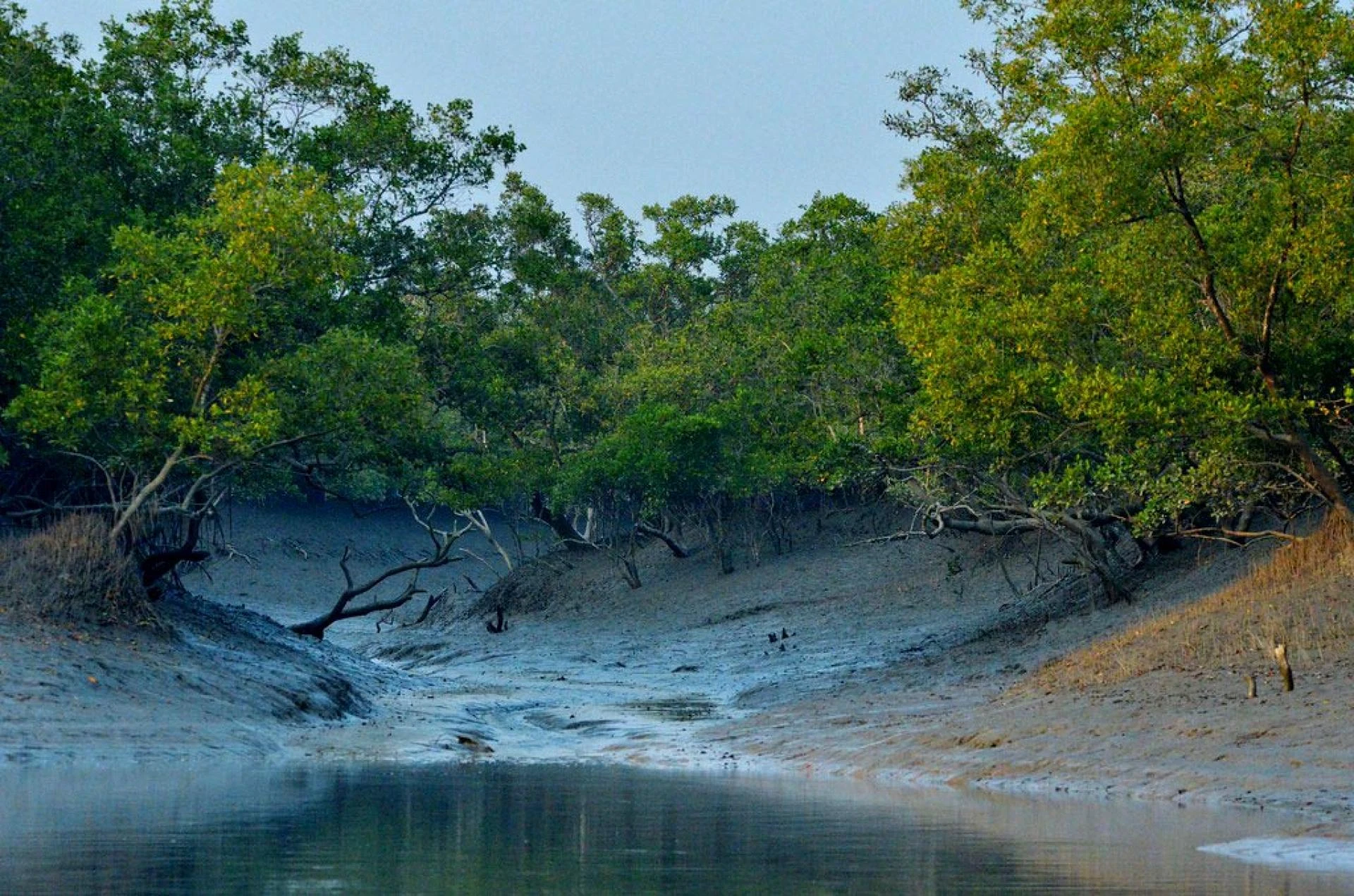 Wonderful Sundarban Tour Package from Kolkata