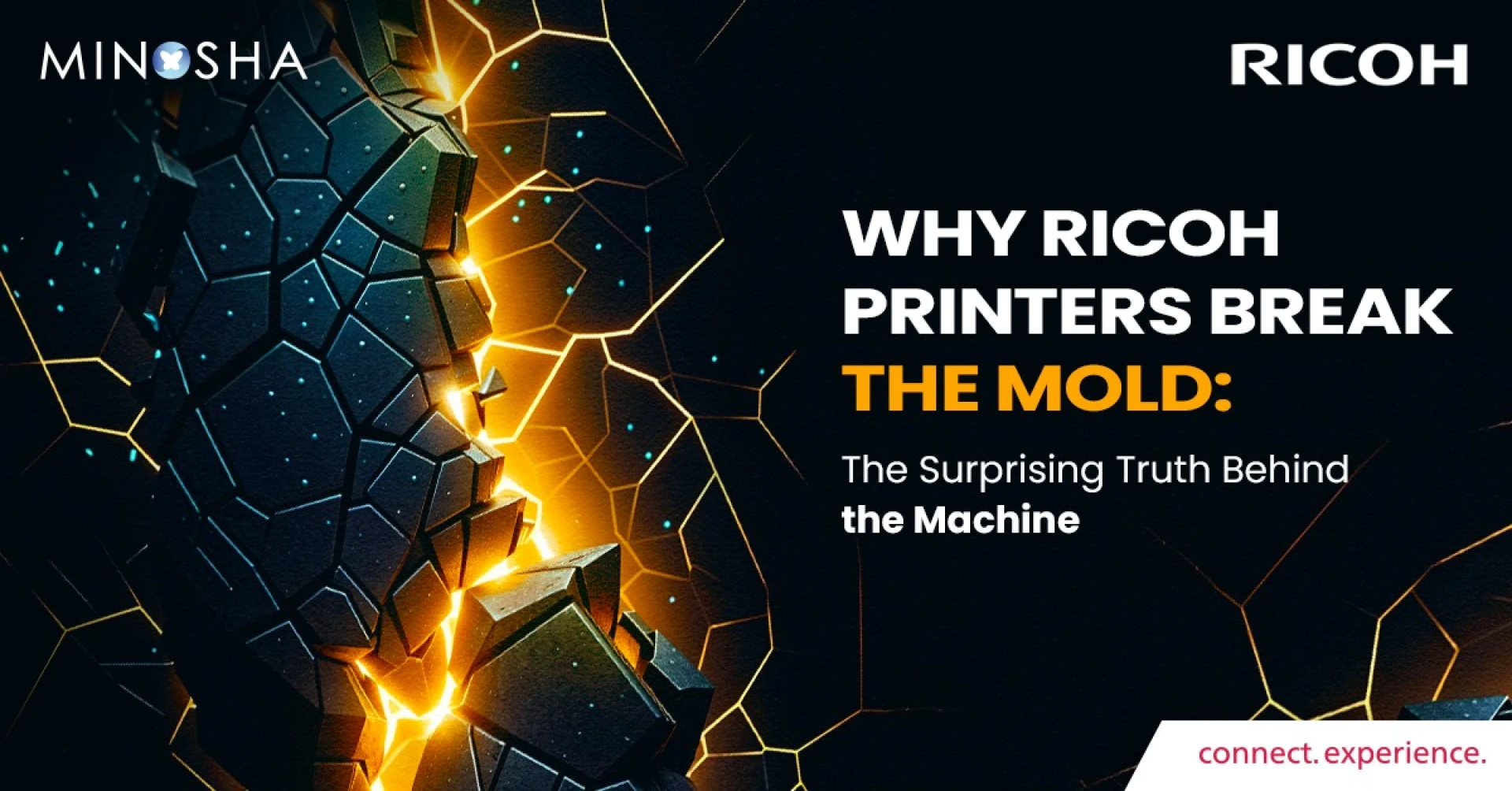 Why Ricoh Printers Break the Mold: The Surprising Truth Behind the Machine