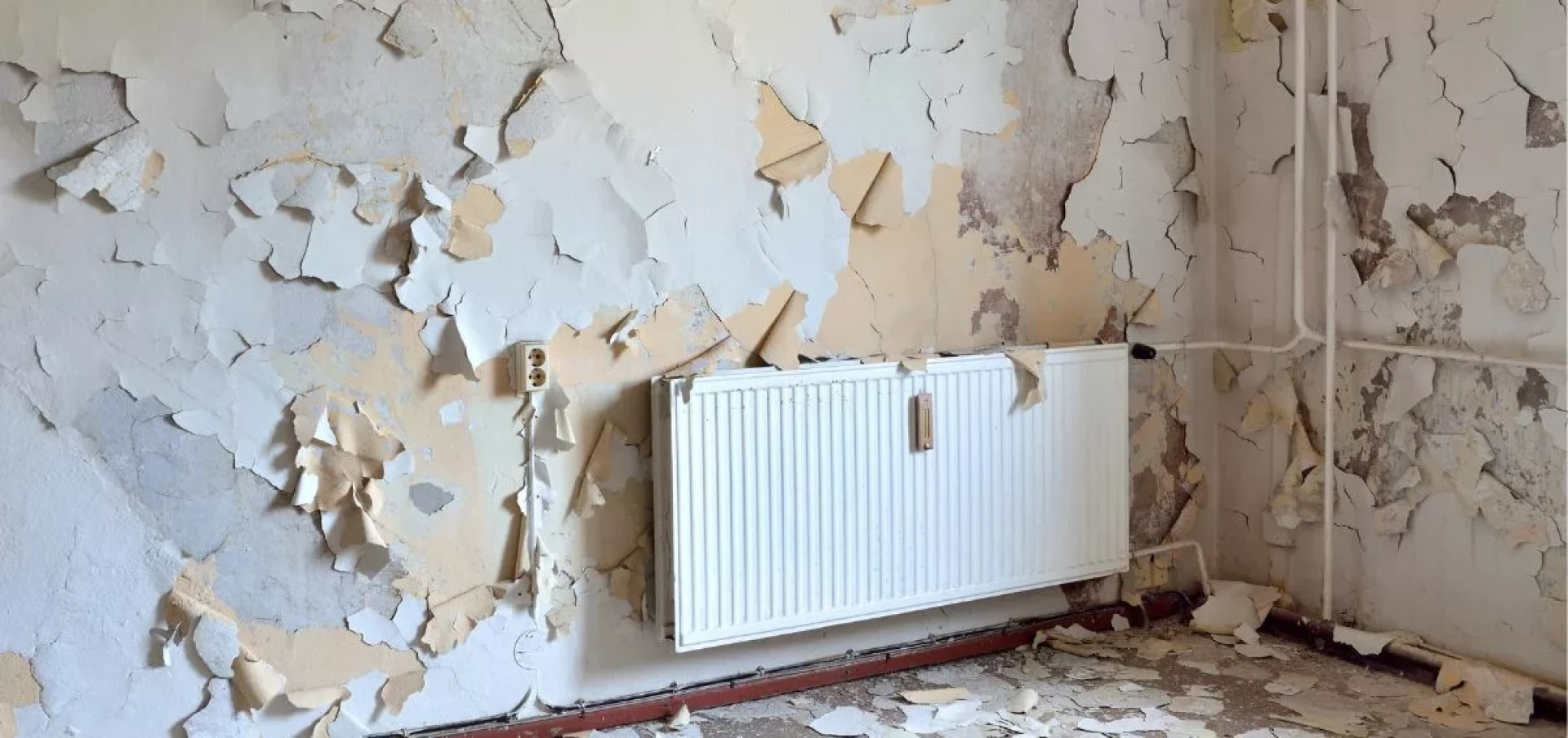 How to Pursue a Housing Disrepair Claim Against Your Landlord