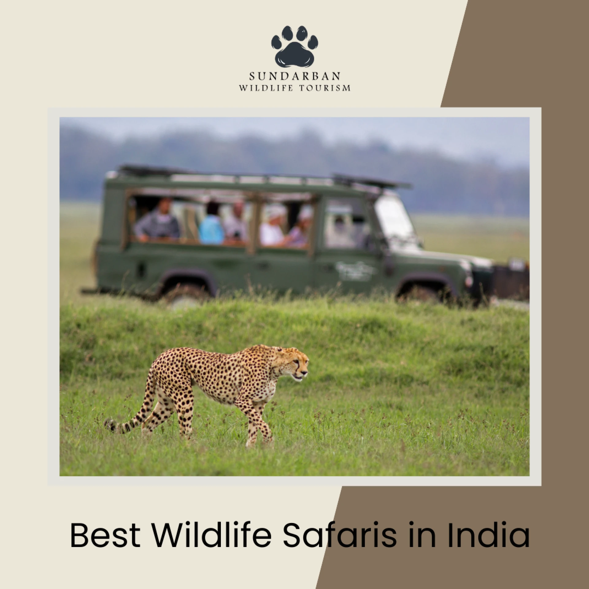 Best Wildlife Safaris in India: Discover the Magic with Sundarban Wildlife Tourism