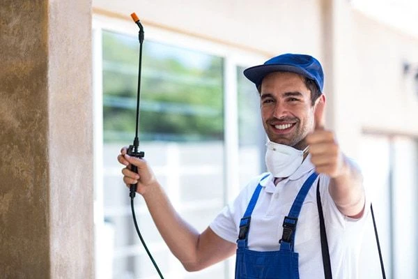4 Signs It's Time to Call A Professional Pest Control Service in Cypress