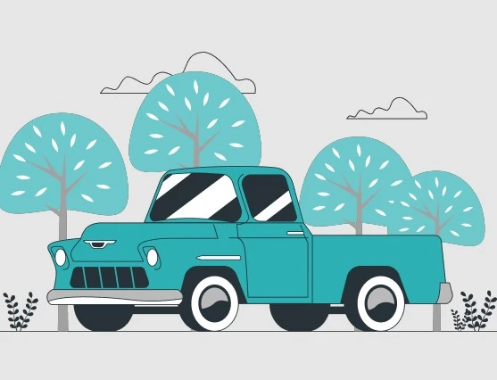 Experience Premium Auto Detailing Services in Gainesville, FL, and GA