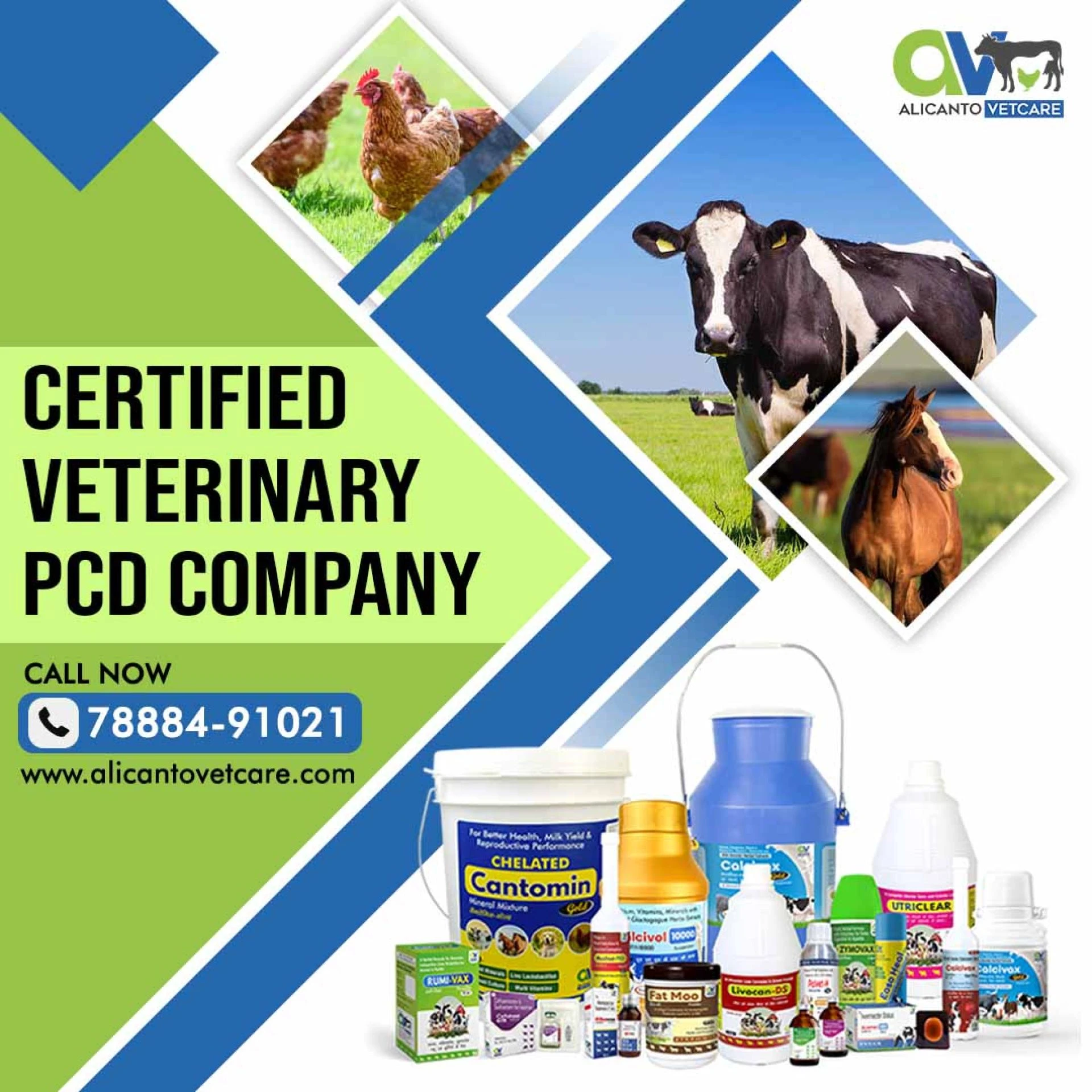 Certified Veterinary PCD Company: A Proven Name in Veterinary Growth