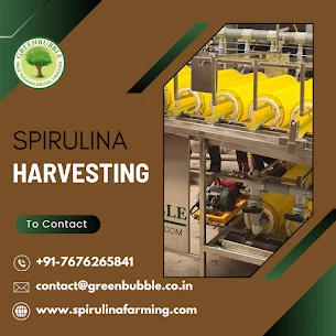 Spirulina Harvesting Techniques & Equipment